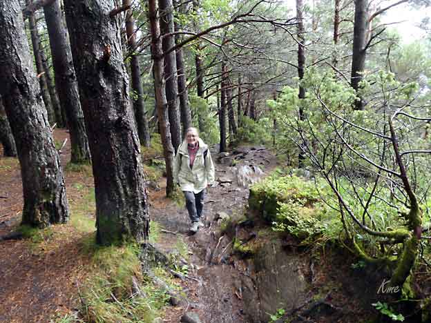 Aalesund_Sukkertoppen