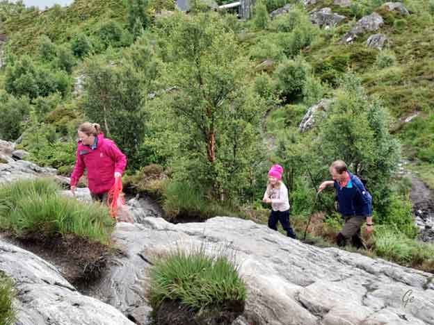 Aalesund_Sukkertoppen