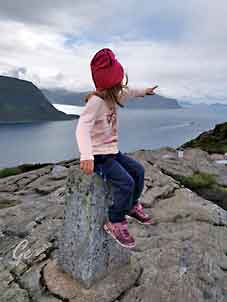 Aalesund_Sukkertoppen