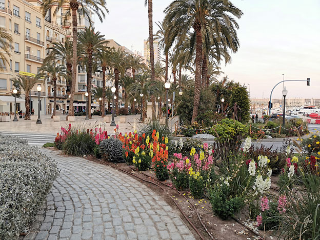 Alicante_Passeig-Esplanada