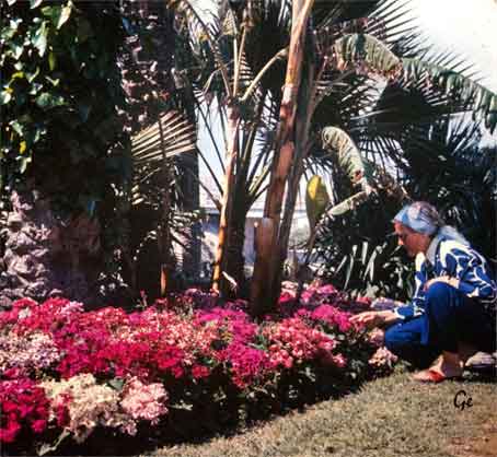 Spania_Alicanta_Elche_Costa-Blanca