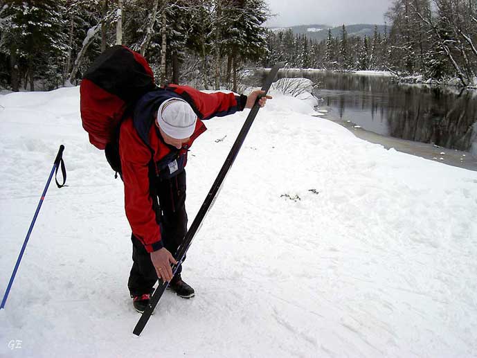 Birken_Langflo_skismoering
