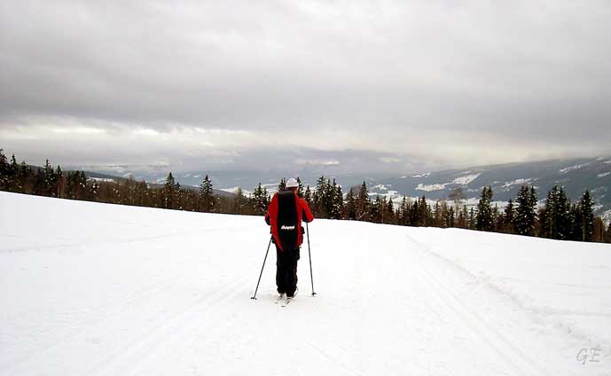 Birken_mot_Lillehammer