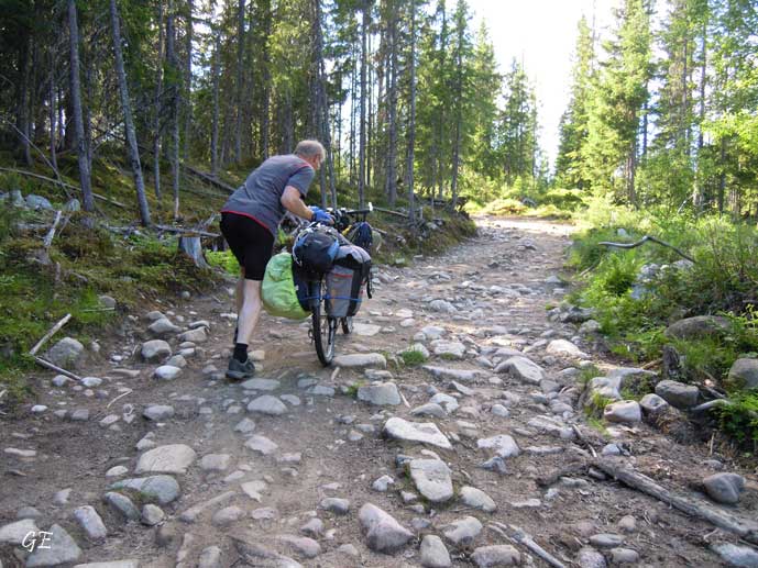 Birkebeinerrittet_trillesti