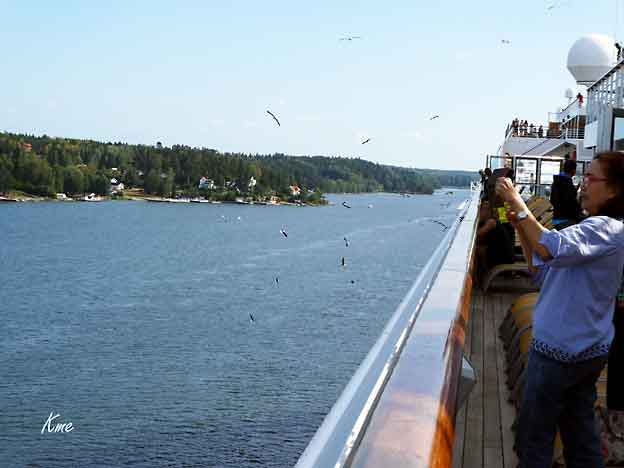Cruise_Costa-Magica_seagulls