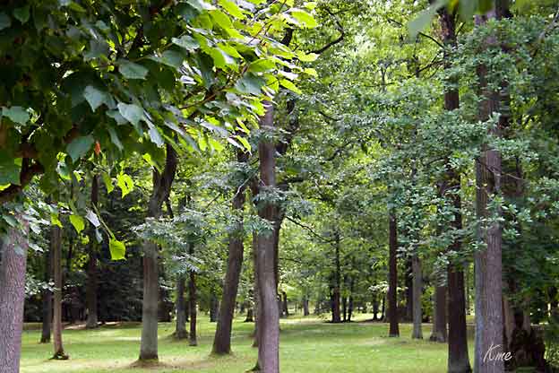 St-Petersburg_Peterhof
