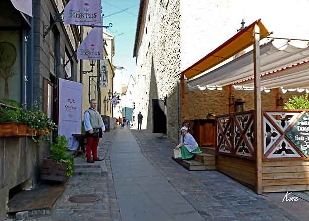 Estland_Tallinn