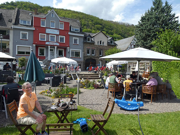 Mosel_Alken-Cochen_rast