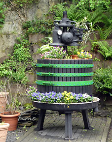 Mosel_Bellstein_Zehnthauskeller