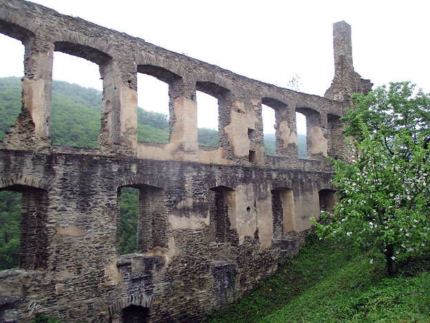 Mosel_Burg-Metternich
