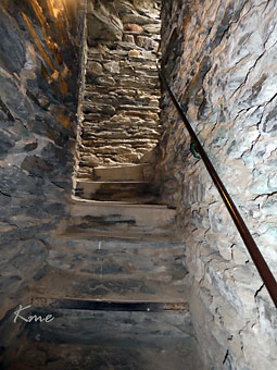 Mosel_Bellstein_Burgruine-Metternich