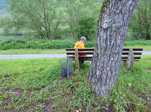 Mosel_Cochem-Zell_Nehren_rast