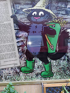 Mosel_Zell_Schwartzen-Katz