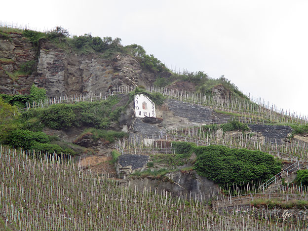 Mosel_Zell-Bernkastel-Kues