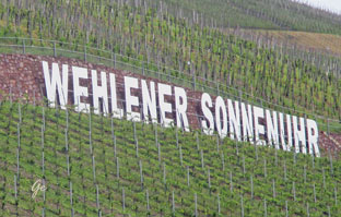 Mosel_Zell-Bernkastel-Kues