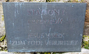 Mosel_Bernkastel-Kues-Mehring