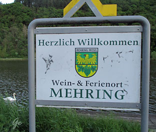 Mosel_Wein_und_Ferienort-Mehring