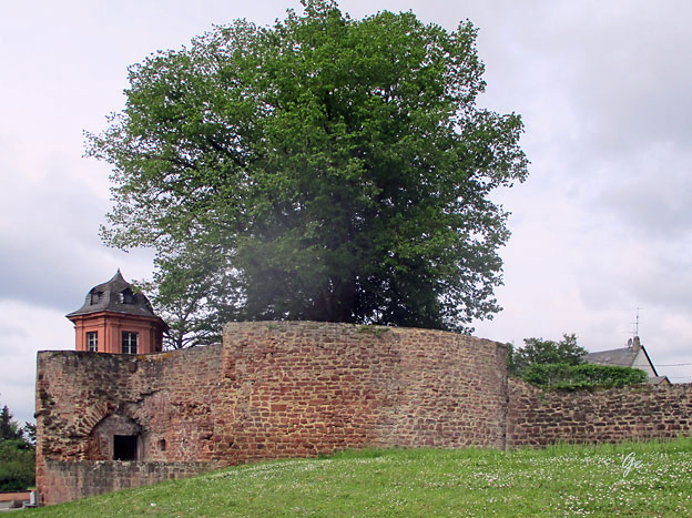 Mosel_Mehring-Trier_mur