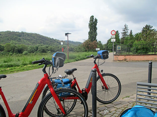 Mosel_Mehring-Trier_rast_ved_mu