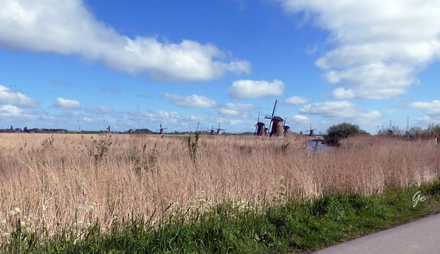 Kinderdijk_polderomraadet_med_vindmoller