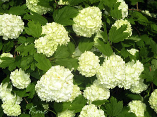 Fredag 26. april 2024