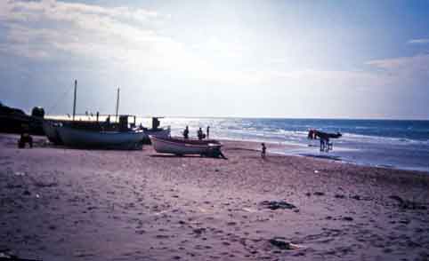 Danmark_Jylland_ved_Skagen