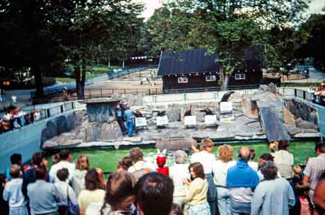 Jylland_Danmark_Aalborg-Zoo