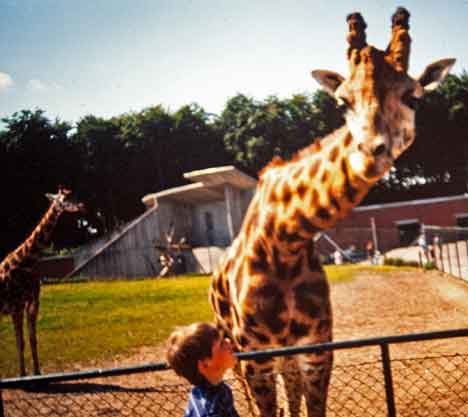 Jylland_Danmark_Aalborg-Zoo_