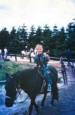 Jylland_Danmark_Legoland