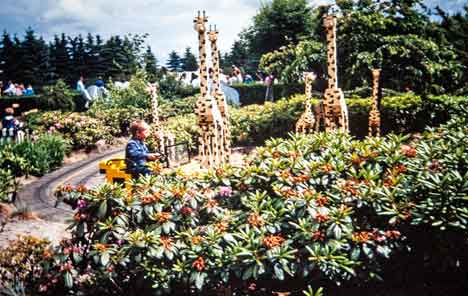 Jylland_Danmark_Legoland