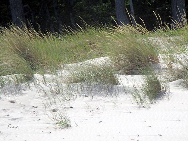 Nord-Sjelland_Hornbek_strand