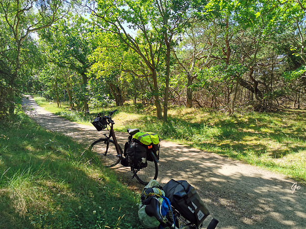 Nord-Sjelland_sykkelvei_Tisvildeleje_Liseleje