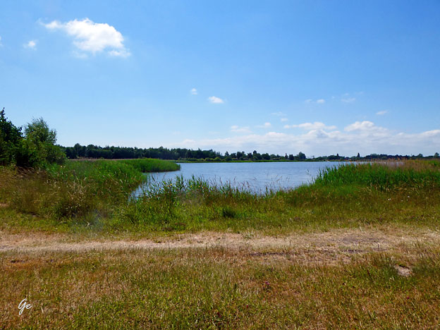 Ved_Vallensbek-strand