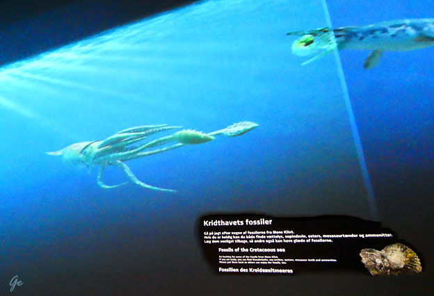 Mons-Klint_Geosenteret