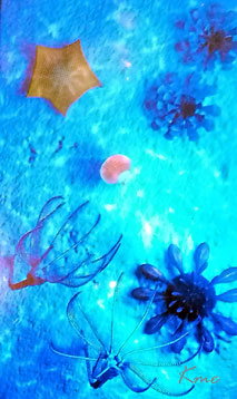 Mons-Klint_Geosenteret