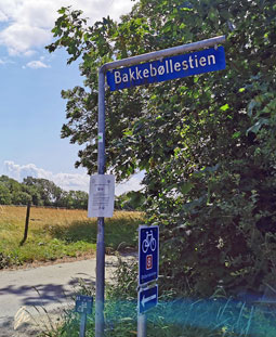 Bakkebollestien