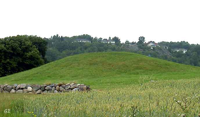 Egersund_Oslo_Gokstad_gravhaug