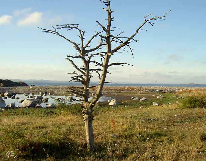 Egersund_Oslo_Jomfruland_Kraaka