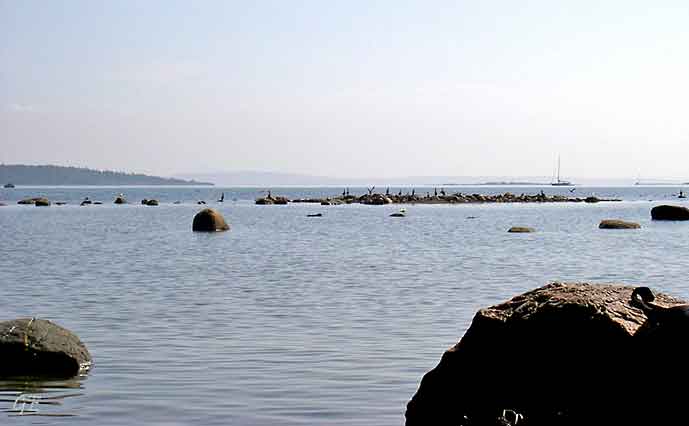 Egersund_Oslo_vadehav