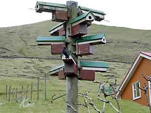 Faroe_Islands_Eysteroy_Gjogv_