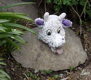 Faroe_Islands_Eysteroy_Gjogv_