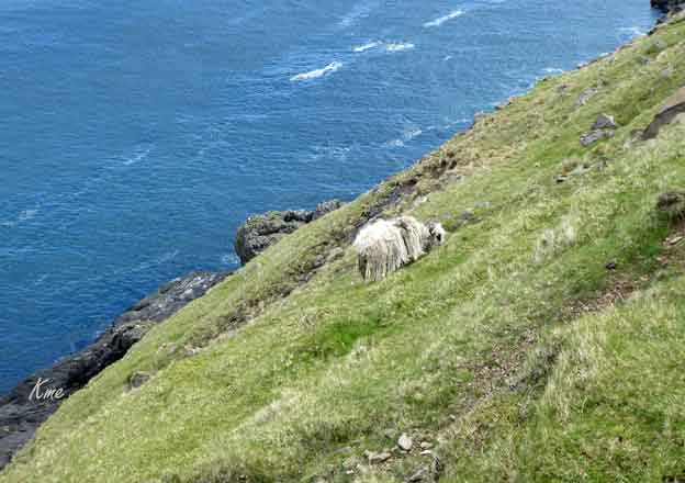 Faroe_Islands_Eysturoy_Elduvik