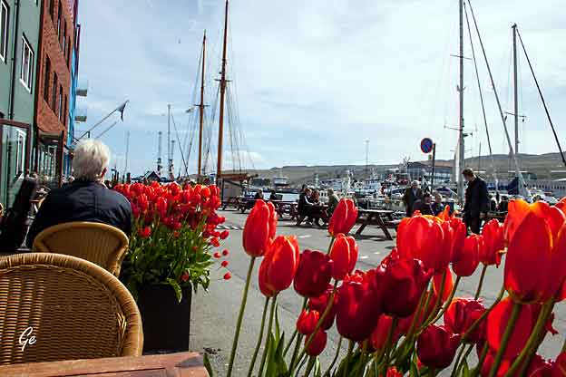 Faroe_Islands_Streymoy_Torshavn