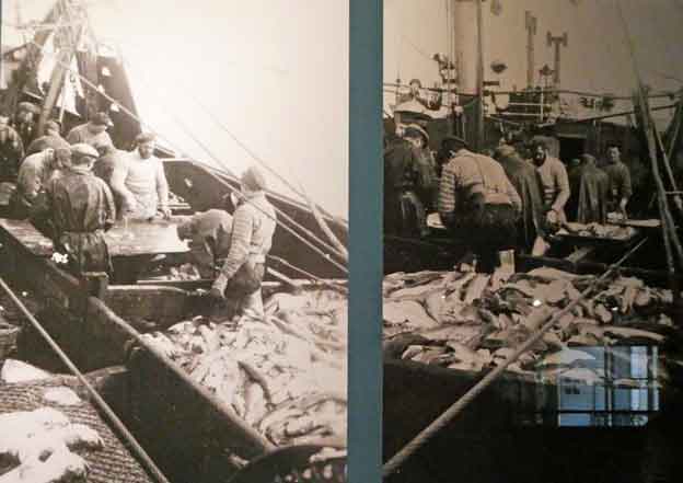 Faroe_Islands_Streymoy_Torshavn