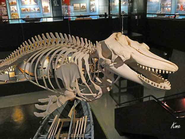 Faroe_Islands_Streymoy_Torshavn