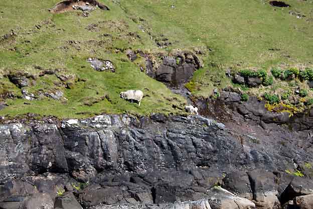 Faroe_Islands_Streymoy_Vestmanna