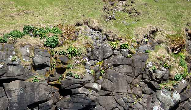 Faroe_Islands_Streymoy_Vestmanna
