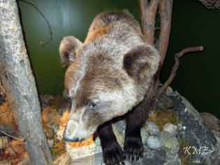 Finnmark_Stabbursnes_museum