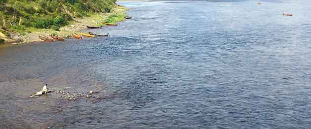 Finnmark_Tana_bru_fisker