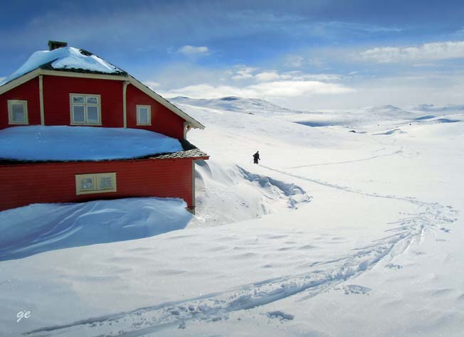 Finse_Fagernut_i_2013